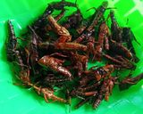 Foto langkah ke 5 dari resep Walang goreng.