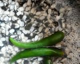 A picture of step 2 of Urad daal / split black gram.