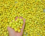 عکس مرحله 1 از دستور کیالک 😍😋😋😍