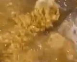 صورة لخطوة 2 من وصفة هريسة الدجاج