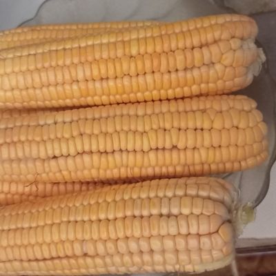 Langkah 1