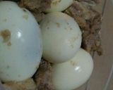 Foto langkah ke 4 dari resep 26. Krecek Kacang Komak Kuah Santan.