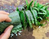 Hình bước làm 2 của món Salad dưa leo và lá mè chay
