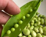 Foto del paso 2 de la receta: Bullabesa de salmón y gambones, con verduras del hortet