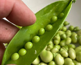 Foto del paso 2 de la receta: Bullabesa de salmón y gambones, con verduras del hortet