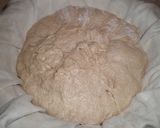 Foto del paso 9 de la receta: Pan rústico