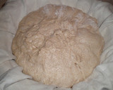 Foto del paso 9 de la receta: Pan rústico