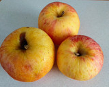 Foto del paso 1 de la receta: 108.🍎Agua refrescante de manzana y canela🥛