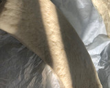 Foto del paso 9 de la receta: Ciabatta artesanal 🍞