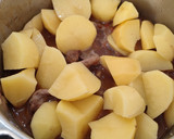 Foto del paso 4 de la receta: Guiso de conejo con patatas