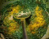 A picture of step 4 of Palak ka kapa.