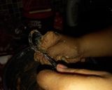 Foto langkah ke 3 dari resep Bakso sapi urat.
