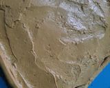 Foto del paso 14 de la receta: Pastel moka