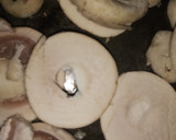 Foto del paso 3 de la receta: Pan tipo panini (relleno)