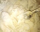 Foto del paso 2 de la receta: Panes con formita