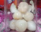 Foto langkah ke 1 dari resep Infused Lychee Soda.