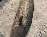 Foto del paso 1 de la receta: Corvina a la sal