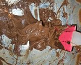 Foto del paso 3 de la receta: Tarta Sacher