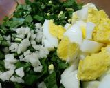 Foto del paso 3 de la receta: Ensalada de radicheta/achicoria con ajo y huevo