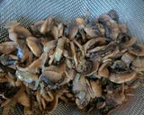 Une image de l'étape 2 de 🌱Samoussas veggie aux champignons.