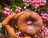 Foto del paso 6 de la receta: Donuts glaseados