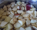 Foto del paso 1 de la receta: Agua de manzana 🍎 sin azúcar pero dulce 😁 💪