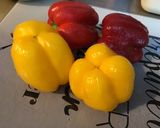 Une image de l'étape 1 de Saumon aux deux poivrons (recette plancha).