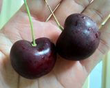 Hình bước làm 6 của món Mỳ Quảng tôm thịt phong cách mới