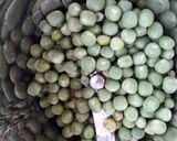 A picture of step 4 of Green Peas Kheer.