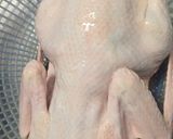 Hình bước làm 1 của món Vịt luộc