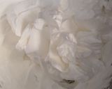 Foto del paso 4 de la receta: Minirogel