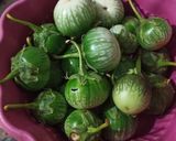Foto langkah ke 1 dari resep Oseng terong gelatik.