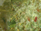 Ayam & Tahu Lado Mudo