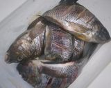 Foto langkah ke 1 dari resep Ikan Goreng Garit.