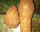 Foto del paso 1 de la receta: Frituras de malanga🇨🇺