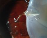 Foto langkah ke 3 dari resep Sirup Gula Merah Kental.