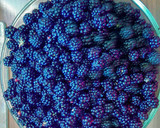 Foto del paso 1 de la receta: Tarta de moras