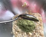 Foto del paso 3 de la receta: Avena con matcha, mantequilla de pistache y kiwi