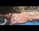 Foto del paso 6 de la receta: Cordero a la asador (paso a paso)