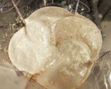 Foto del paso 4 de la receta: CREMA BLANCA de Frijol y Tahini...!😍