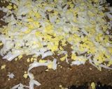 Foto del paso 8 de la receta: Empanadas de carne 😋