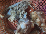 Sop kambing