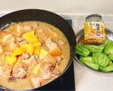 鳳梨苦瓜滷肉的食譜步驟1照片