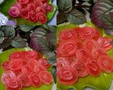 Foto langkah ke 4 dari resep Agar2 Gulung Kering.