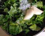 લીલી ચટણી(Green Chutney recipe in Gujarati) રેસીપી સ્ટેપ2ફોટો