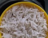 A picture of step 2 of Rainbow Zarda✨🌈✨.