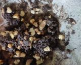 ઇન્સ્ટન્ટ ચોકલેટી અખરોટ ફજ (Instant Chocolaty Walnut Fudge Recipe In Gujarati) રેસીપી સ્ટેપ3ફોટો