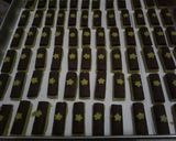 Foto langkah ke 4 dari resep Chocostick matcha cookies.