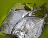 Foto langkah ke 1 dari resep Ikan Bawal Asam Pedas Tanpa Santan (4 ekor ikan).