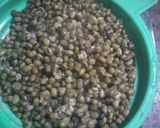 A picture of step 2 of Moong (green gram) parantha.